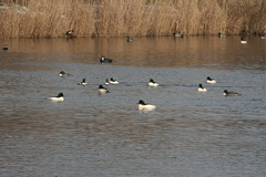 Killikus&reg; Fotographie